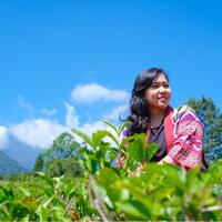 kavling-fujifilm-reborn