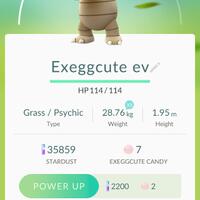 lounge-all-about-pokemon-gonews-previews-reviews-chit-chat---part-1