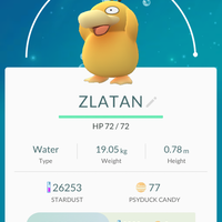 lounge-all-about-pokemon-gonews-previews-reviews-chit-chat---part-1