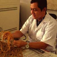 indonesia-menciptakan-benih-padi-yang-berkualitas-unggul