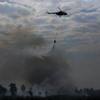 kemarau-tiba-kebakaran-hutan-mulai-melanda