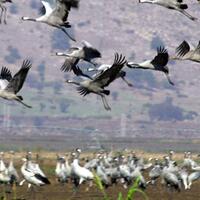 7-fenomena-alam-yang-belum-terpecahkan-sains-sampai-sekarang