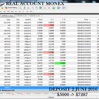 hasil-investasi-dengan-daily-chart-system