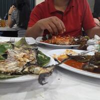 kingkuser-rx-king-kaskus-user---part-5