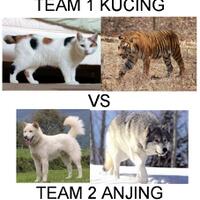 anjing-vs-kucing-pilih-mana