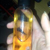 panduan-pemula--area-tanya-jawab-newbie-friendly