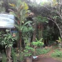 dki-miliki-aset-senilai-rp3635-triliun