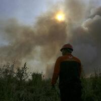 apa-pertimbangan-hakim-menghukum-pt-nsp-denda-rp1070-triliun