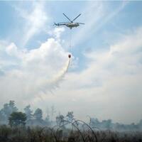 kementerian-lhk-menangkan-gugatan-terhadap-perusahaan-atas-kebakaran-hutan-riau