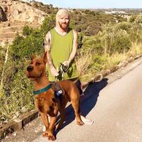 spectre-soccer-room-2016-2017