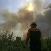 kiat-pemerintah-mengantisipasi-puncak-kebakaran-hutan