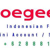 mini-account-soegeefxnet-initial-deposit-100--lokal-broker