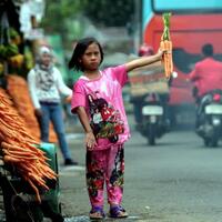 anggaran-perlindungan-sosial-untuk-2017-ditambah