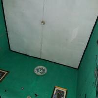 numpang-nanya-lagi-puh