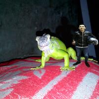 tutorial-edit-foto-jadi-mini-seukuran-mainan