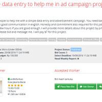 lowongan-freelancer-simple-data-entry-to-help-me-in-ad-campaign-project---3