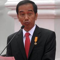 jokowi-budayawan-bilang-saya-presiden-paling-ndeso
