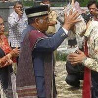 ini-bukti-seabad-yang-lalu-tak-satu-pun-raja-batak-pakai--wig--seperti-jokowi