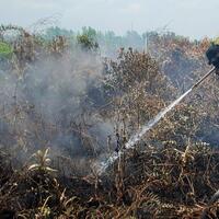 waspada-kebakaran-hutan-di-tengah-kemarau-basah