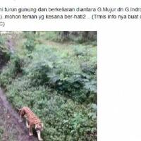 heboh-penampakan-harimau-jawa-di-gunung-arjuno