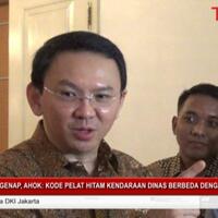 ahok-kalau-ada-kambing-dibedakin-gue-mau-jadi-cawagub