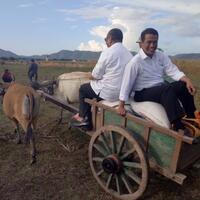 kementan-ingin-jadikan-gorontalo-lumbung-jagung-nasional