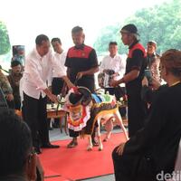 peternak-domba-se-indonesia-curhat-ke-jokowi-termasuk-wakil-ketua-ppatk