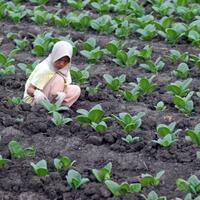 kenaikan-harga-rokok-untuk-selamatkan-generasi-muda