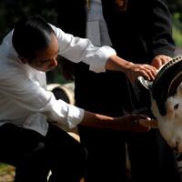 kritik-retorika-maritim-sby-dan-obat-kuat-jokowi