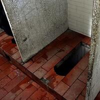 lima-cerita-paling-mencengangkan-dari-lubang-toilet