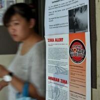 kemenkes-temukan-virus-zika-di-jambi