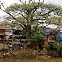warga-pinggir-kali-ciliwung-pasrah-jika-direlokasi