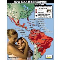 bahaya-virus-zika-sudah-masuk-indonesia