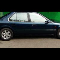 honda-accord-community---maestro---cielo---dst