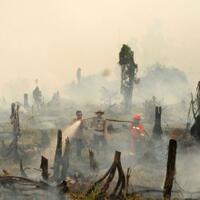 di-balik-foto-keakraban-perwira-polisi-dan-pembesar-sawit