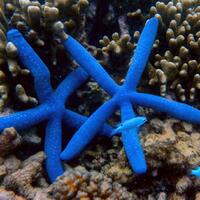 alun-alun-nikonian---part-13