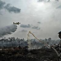 kpk-turut-tangani-kasus-kebakaran-hutan