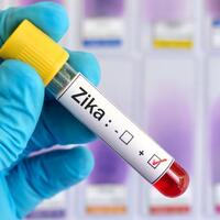 zika-datang-ke-indonesia
