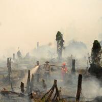 menggugat-praperadilan-sp3-perusahaan-pembakar-hutan