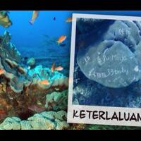 karang-di-bali-dirusak-pemkab-minta-dive-guide-jaga-kelakuan-turis