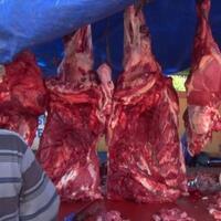 pemkot-aceh-bentuk-tim-monitoring-hewan-kurban-jelang-iduladha