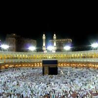 kjri-jeddah-tangani-229-wni-yang-ditahan-otoritas-saudi