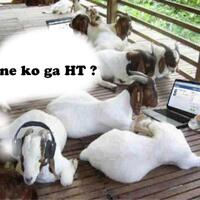 gak-ada-ht-idul-adha-ya