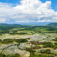 alun-alun-nikonian---part-13