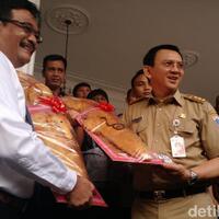 pdip-usung-ahok-djarot-di-pilgub-dki-djarot-insya-allah