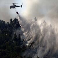kebakaran-hutan-dan-lahan-indonesia-renggut-lebih-dari-100-ribu-nyawa