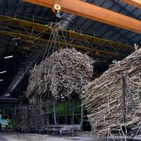 importir-gula-tidak-ada-yang-berstatus-cv