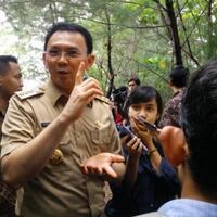 pdip-bakal-umumkan-cagub-dki-ahok-semringah
