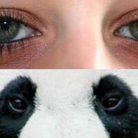 9-cara-cepat-menghilangkan-mata-panda