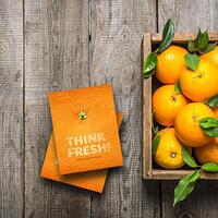 think-fresh-pedoman-pas-buat-ngembangin-diri-ke-arah-yang-lebih-baik